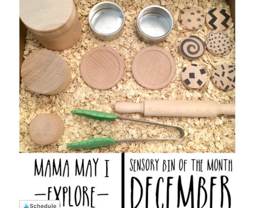 Feature Friday – Sensory Bin of the Month Club December