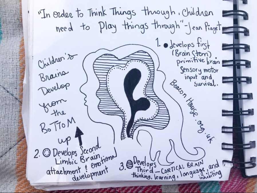 A Child’s Brain Development