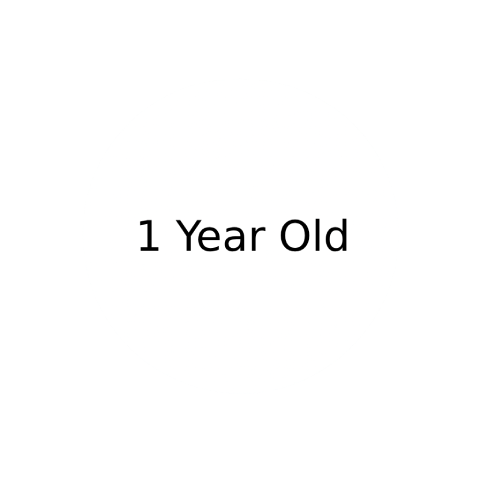 1 year old toys category