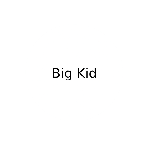 Big kid toys category