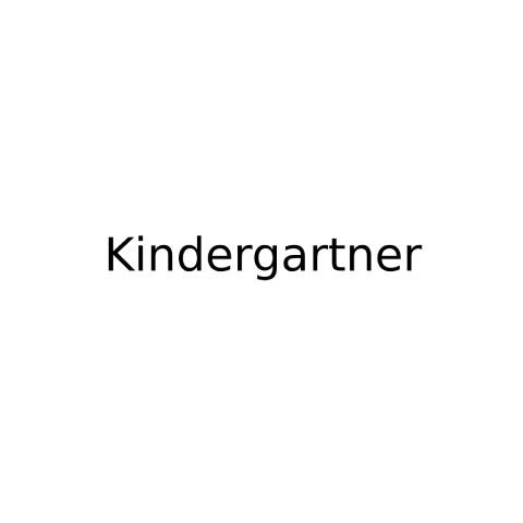 Kindergartner toys category